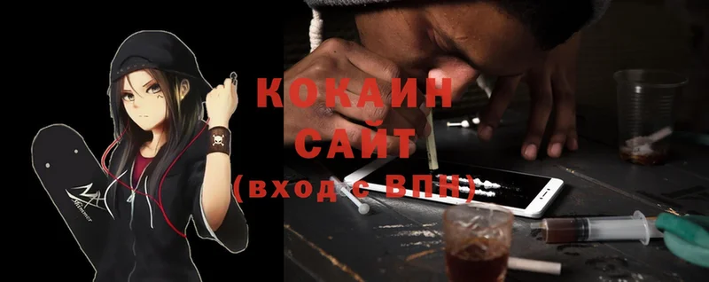 Кокаин FishScale  Богородицк 